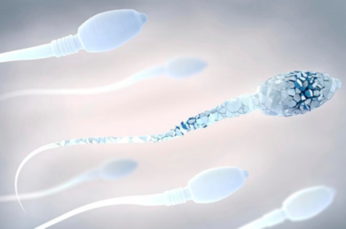 51岁借卵,移植失败后胚胎排出来的样子?着床成功后出血图片?