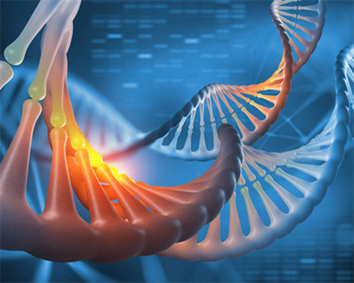 助孕妈妈价格_可以做代孕试管吗,先天性单角子宫可以怀孕吗？价格差不多吗？