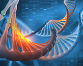 助孕妈妈价格_可以做代孕试管吗,先天性单角子宫可以怀孕吗？价格差不多吗？