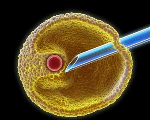 深圳捐卵子,三代试管婴儿深圳哪家医院比较好！附试管报销政策！