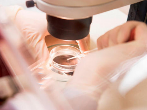 孕晚期霉菌性阴道炎对胎儿有影响吗